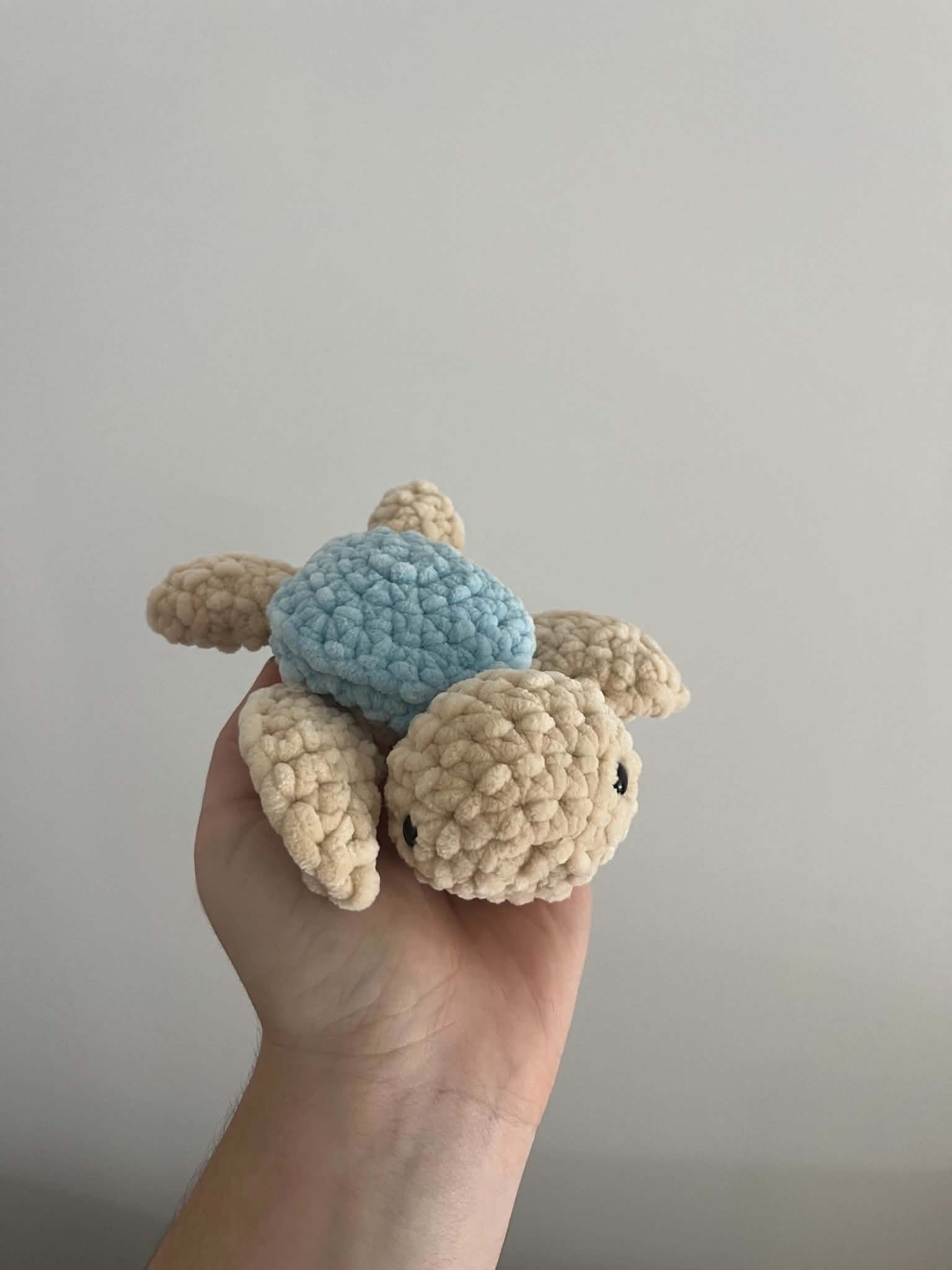 Petite tortue