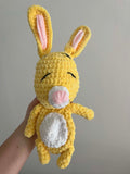 Coco lapin