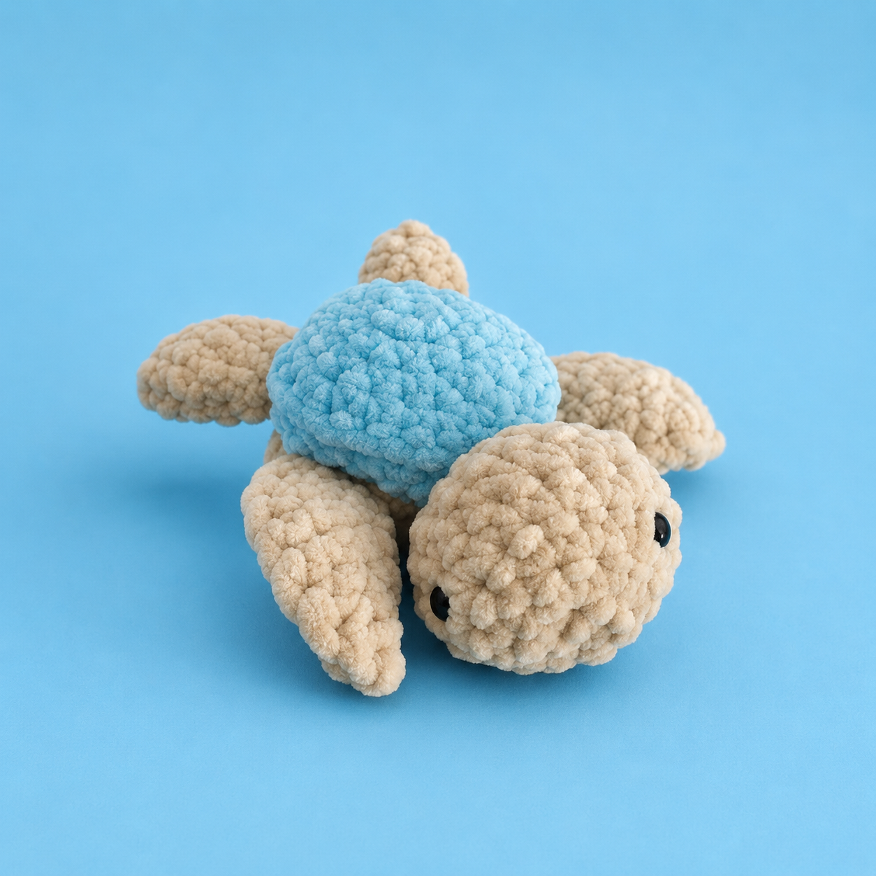 Petite tortue